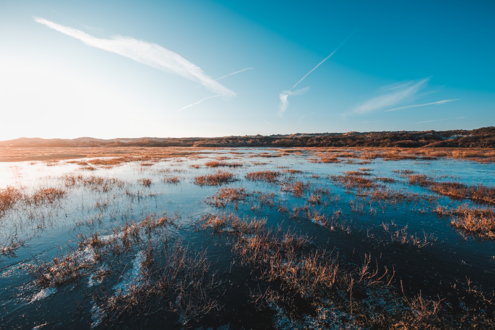 Land & Water